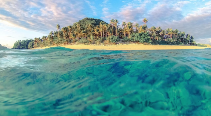 A tropical island with clear turquoise water and palm trees under a blue sky. A tropical island with clear turquoise water and palm trees under a blue sky.