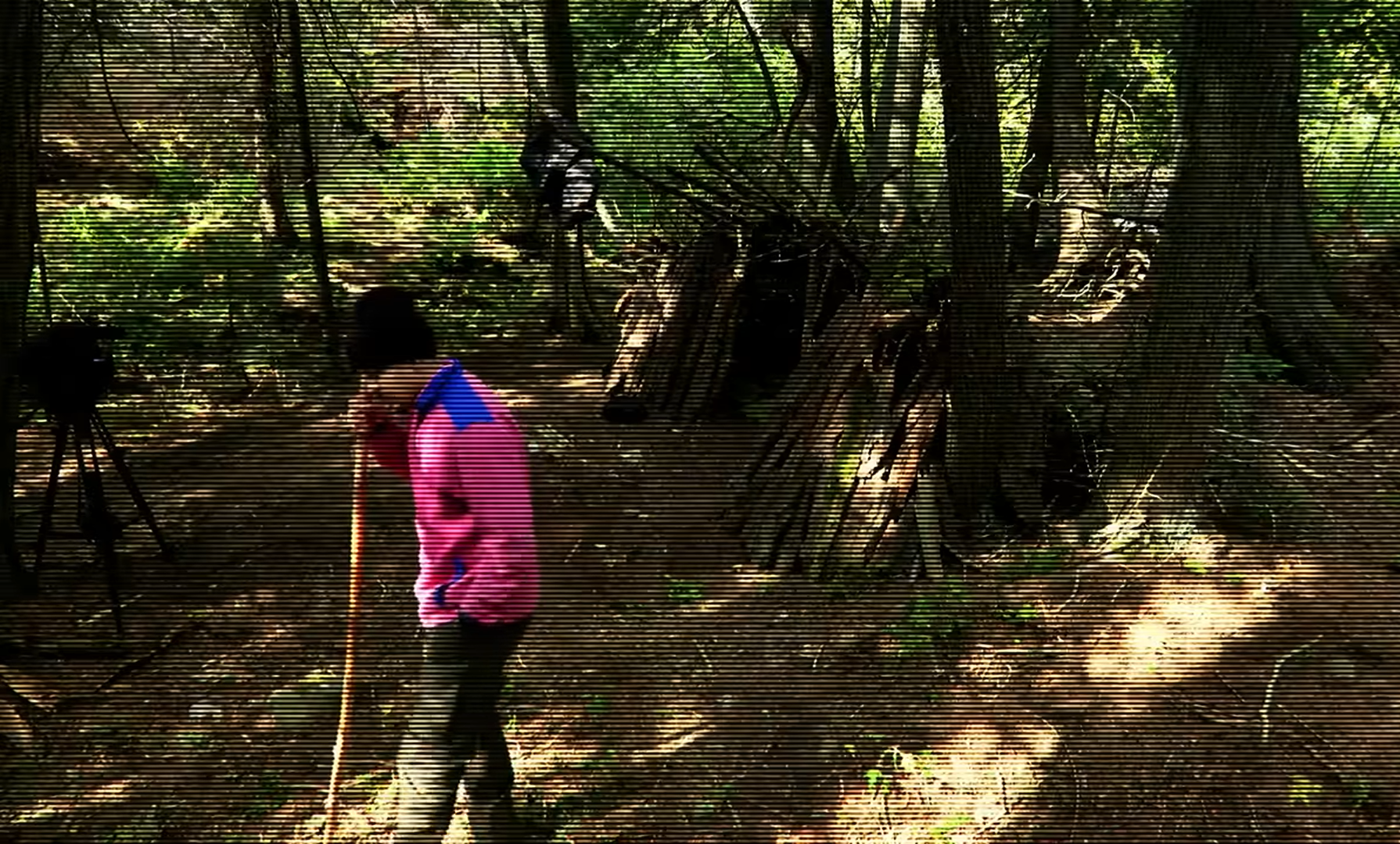 Extracted: Survival, Secrets, and the Ultimate Test of Trust